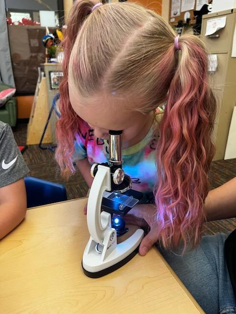 Pre-K Student looking through a microscope