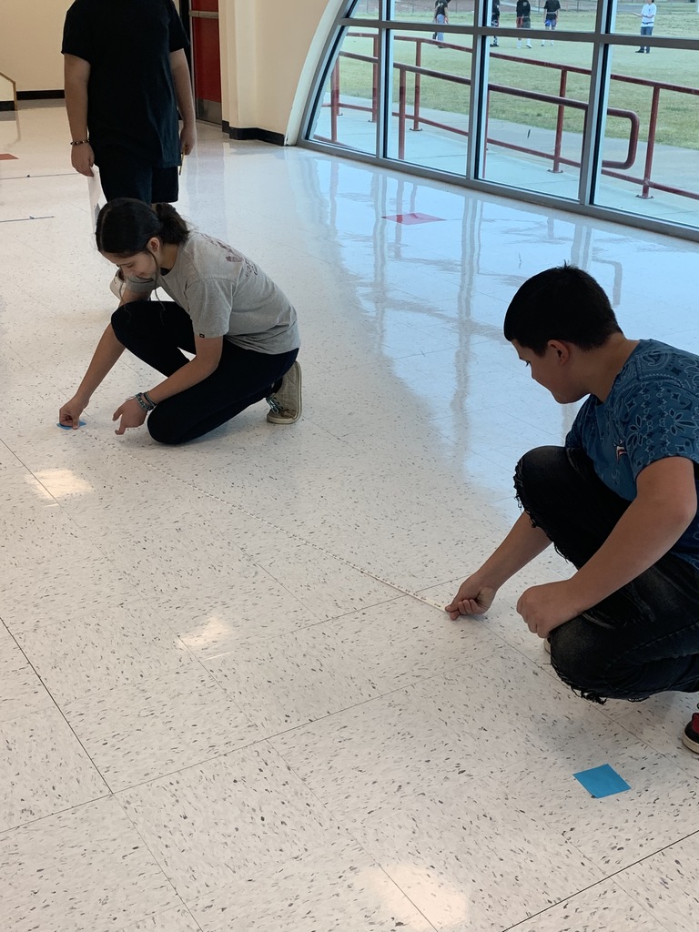 7th grade math Students participated in a buggy lab to explore constant rate of change.
